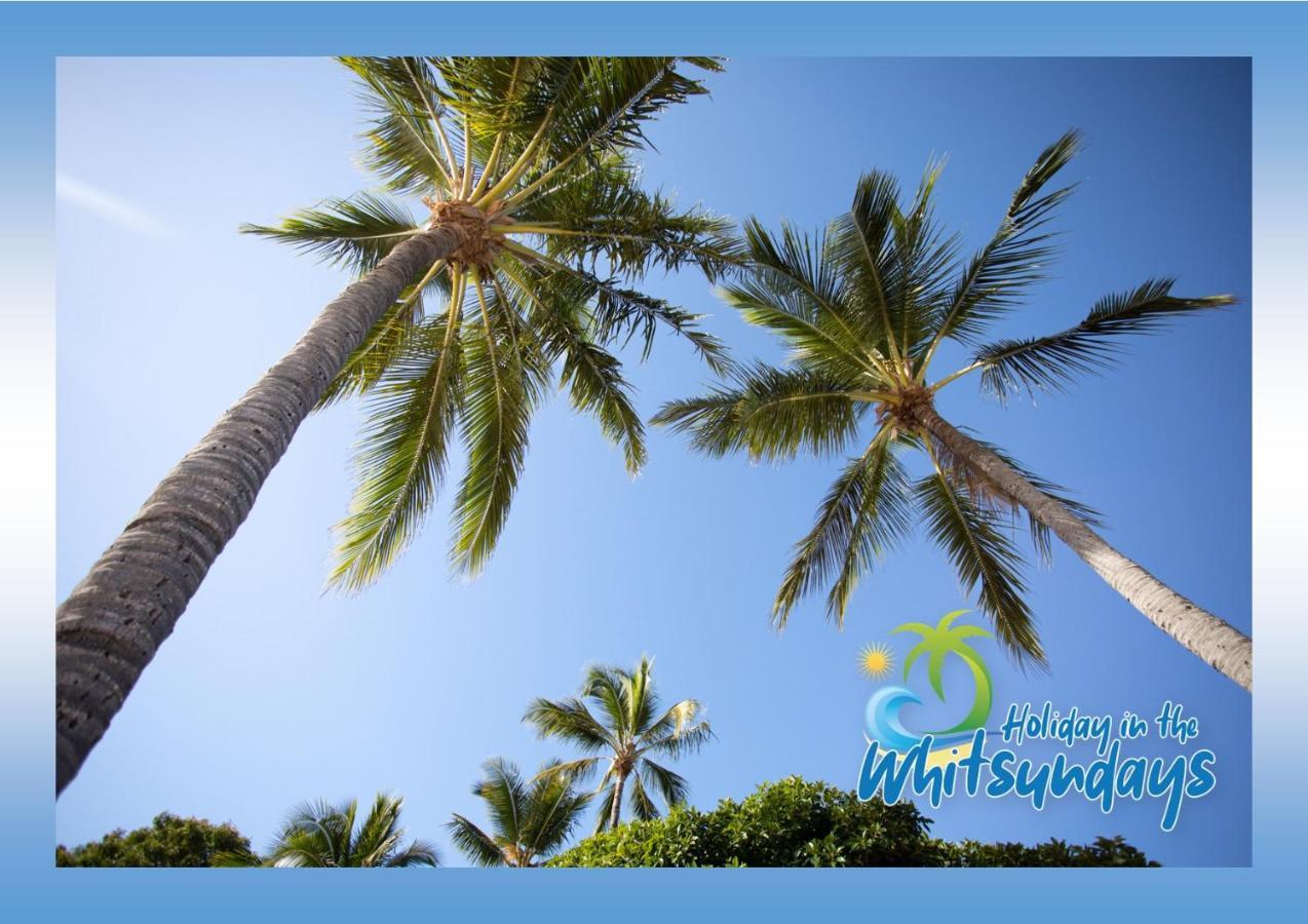 Ocean View 16A Studio Pool & Spa Wi-Fi Airlie Beach Eksteriør billede
